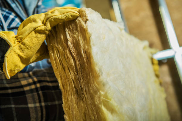Best Residential Insulation in Sherwood, OH